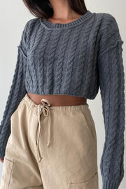 Kenzi Cropped Knit Sweater